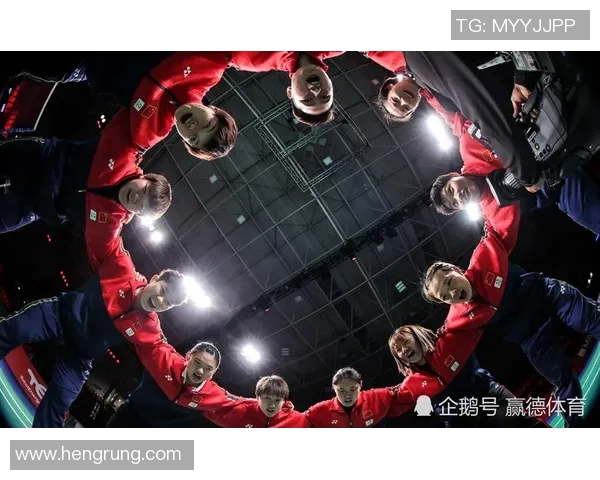 西安羽毛球队灵活性争议引发热议球迷与专家各抒己见